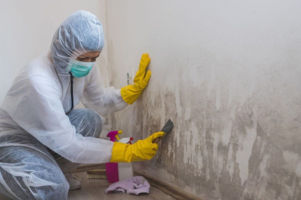 Water damage and Mold Cleaning Suggestions