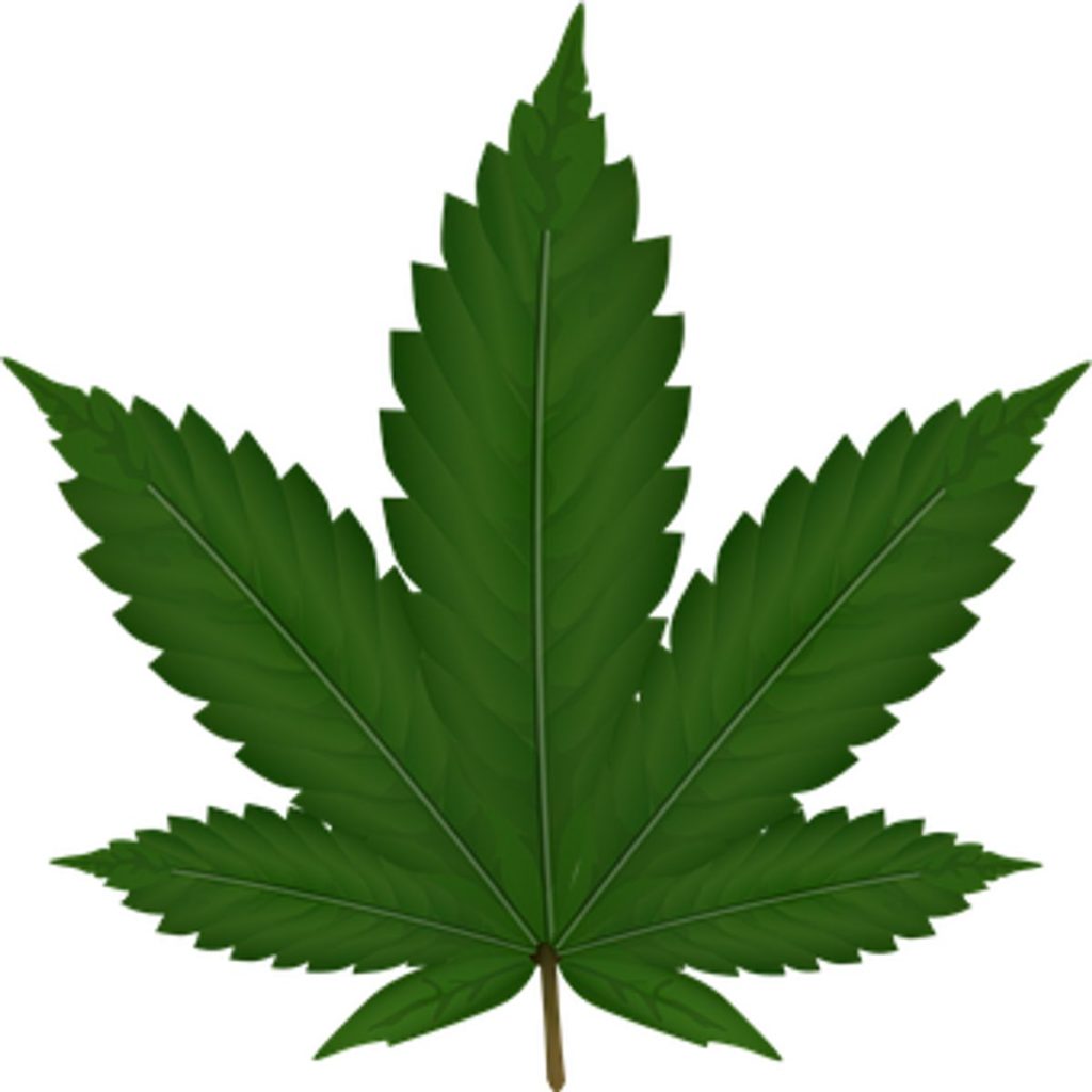Have you been Curious About The Hoopla Concerning HEMP CBD?