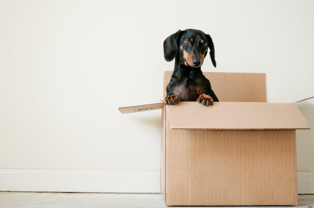 5 Reasons to Hire Movers for an Intrastate Move