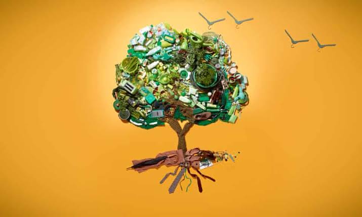 How to Be More Eco Friendly: 5 Basic Tips