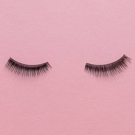 The Complete and Only Eyelash Extension Maintenance Guide