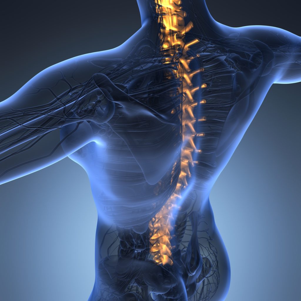 The Different Types of Spinal Cord Injuries That Can Occur Today
