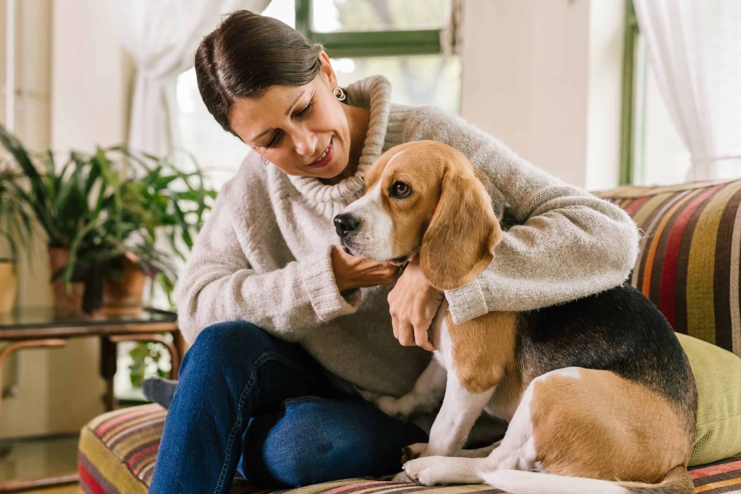 How Can Emotional Support Animals
