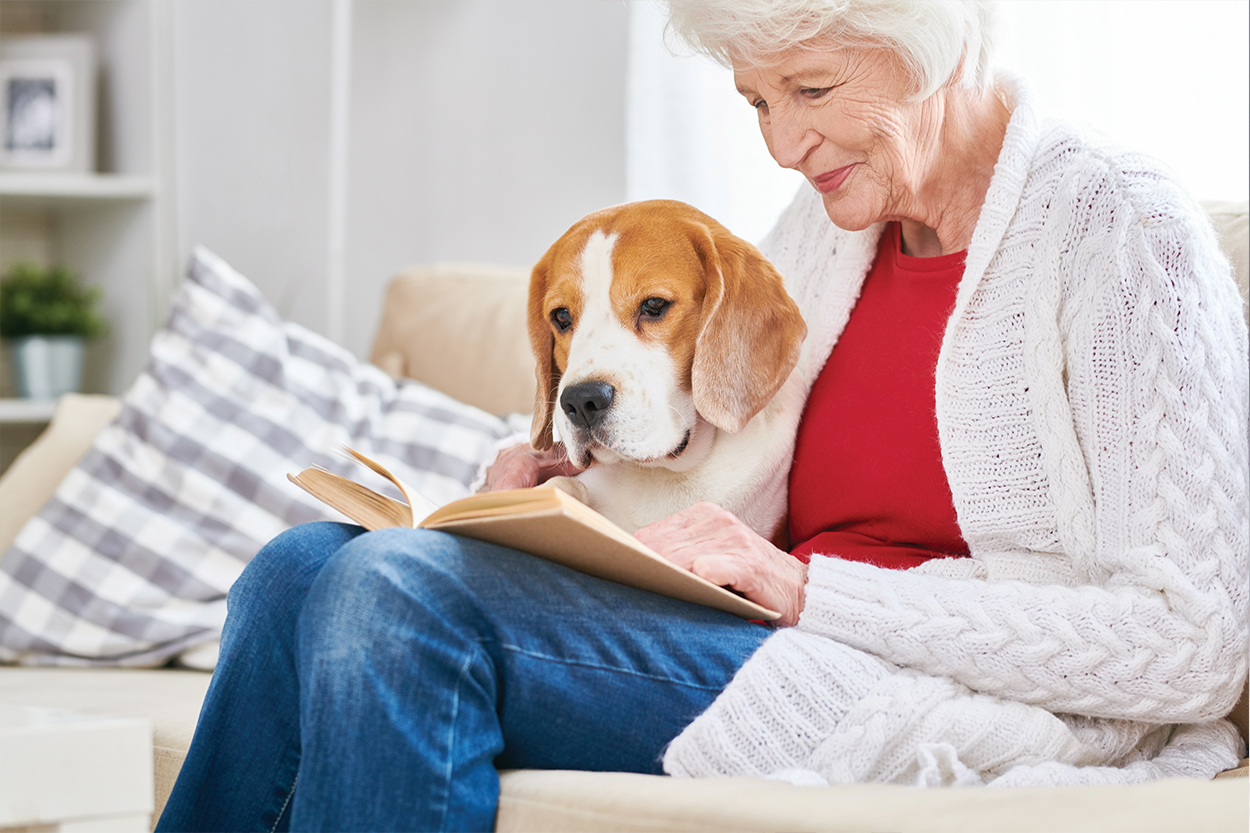 How Can Emotional Support Animals