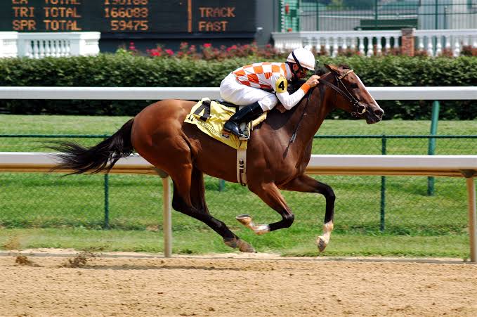 Horse Betting Tips for Beginners