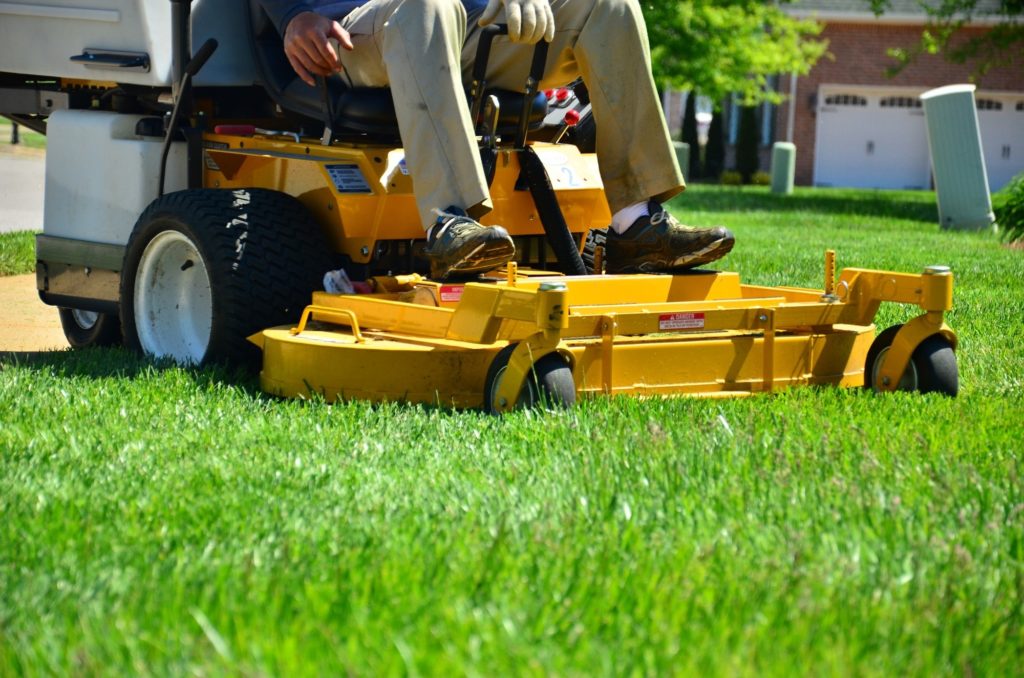 Lawn Care: How to Overseed a Lawn
