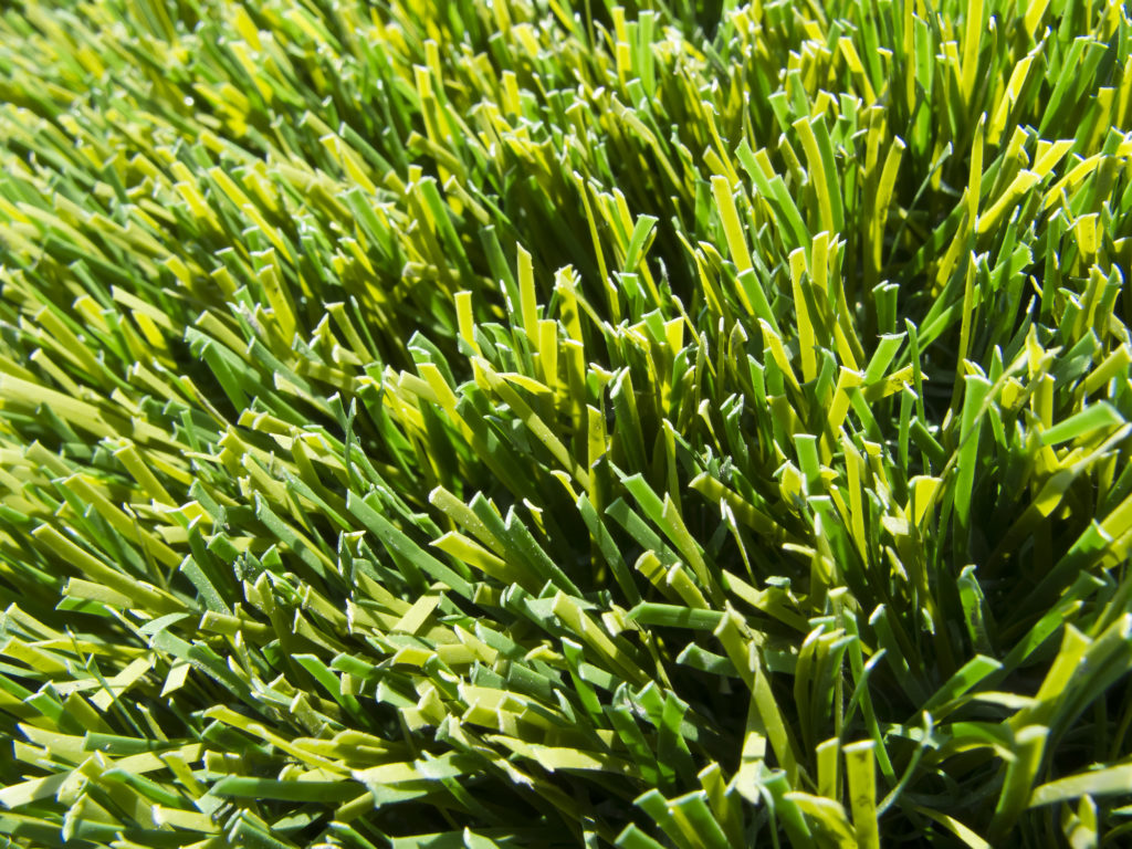 4 Tips on How to Grow Grass With Dogs Around