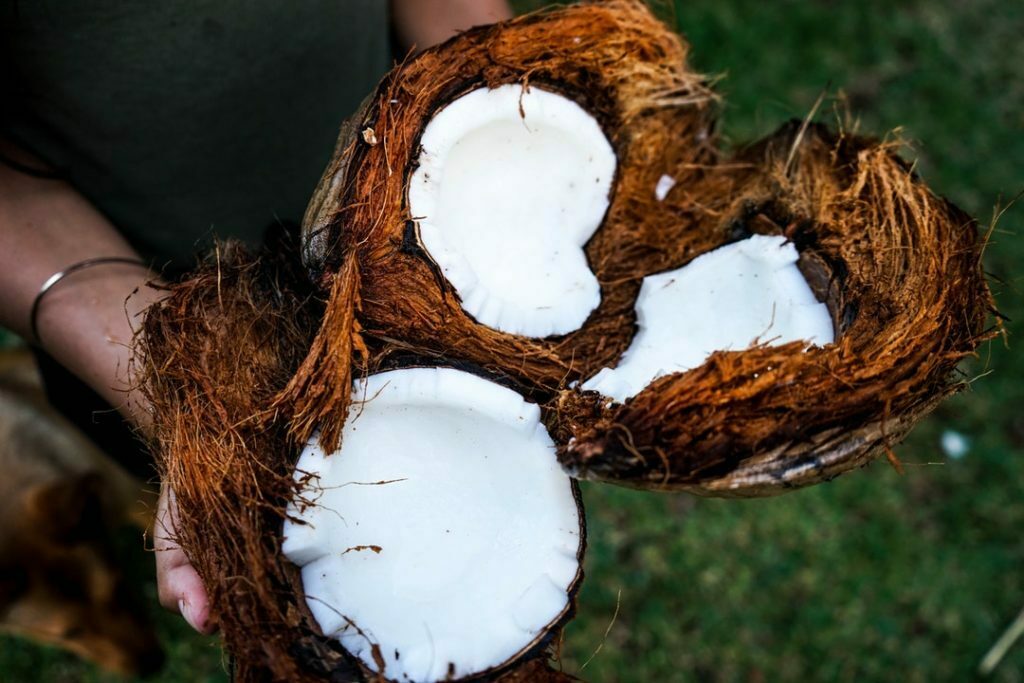 What Are the Great Benefits of Coconut?