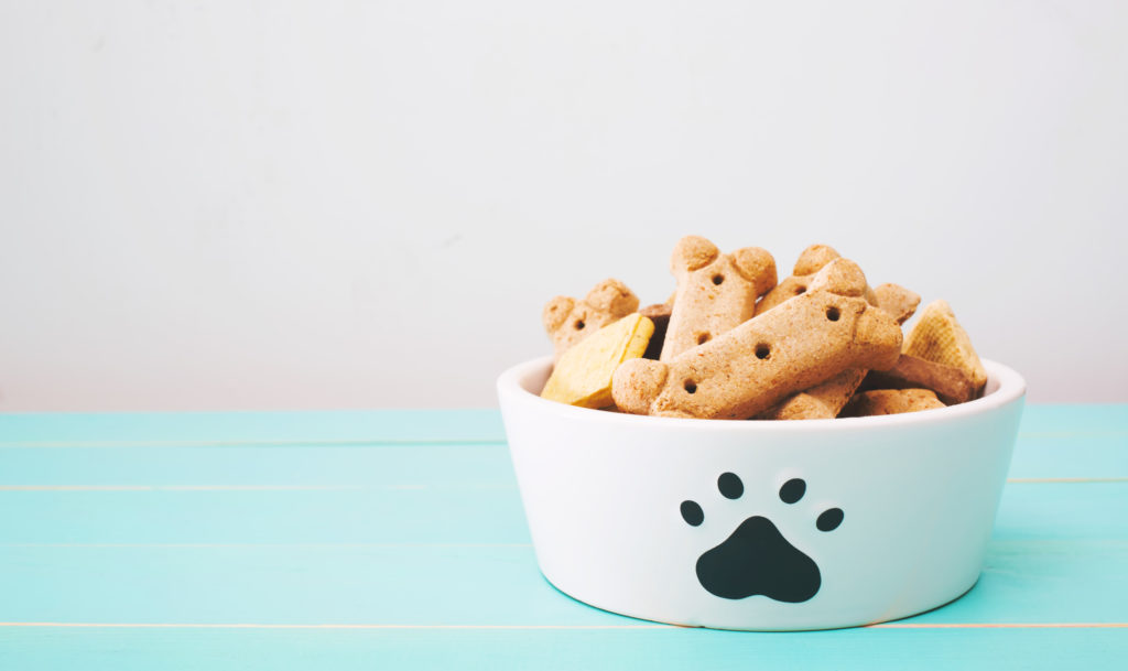How Much Food Should You Feed a Puppy?