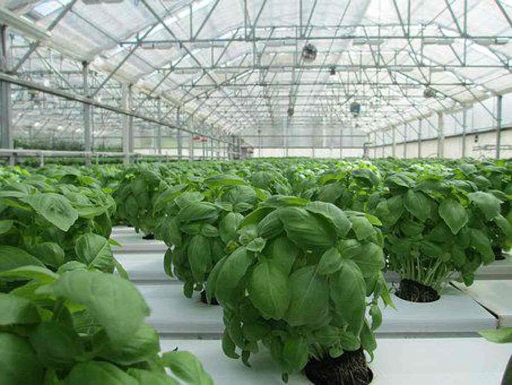 Starter Get Started With Organic Gardening