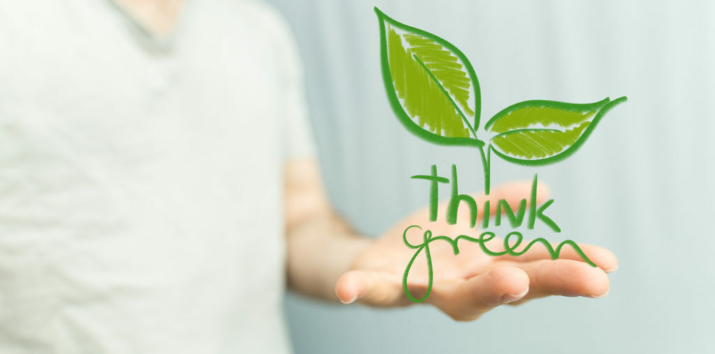 How to Be More Eco Friendly: 4 Helpful Tips