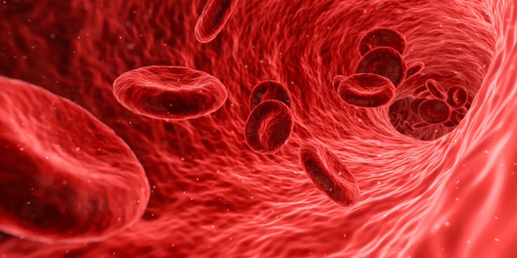 The Brief Guide That Makes Improving Blood Circulation Easy
