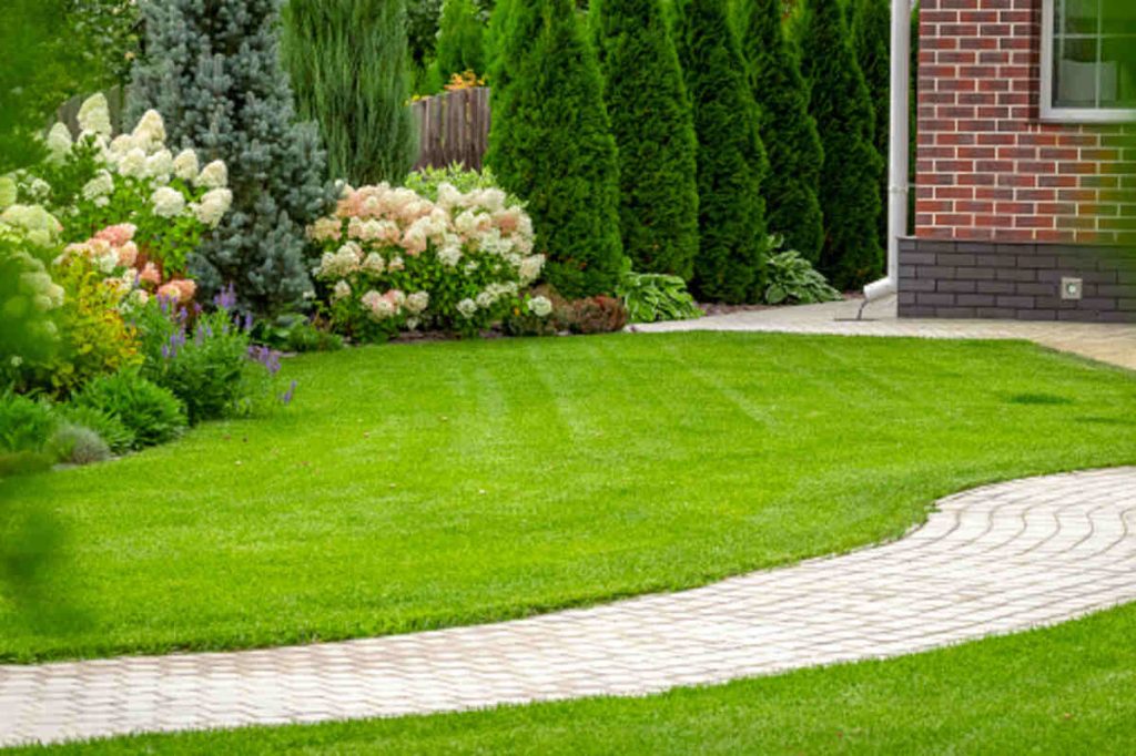Organic Manure and Other Natural Fertilizers For Your Garden