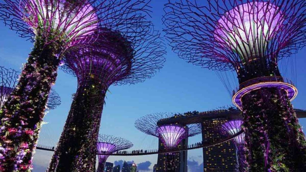 The Gardens at Marina Reservoir in Singapore