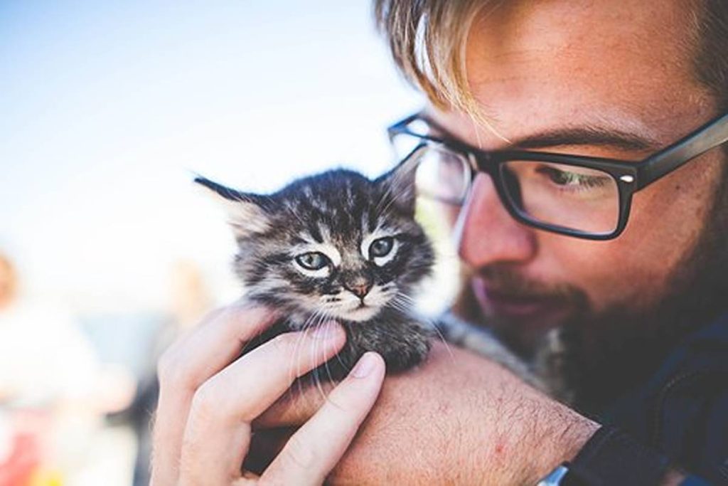 Am I not A Responsible Pet Owner?