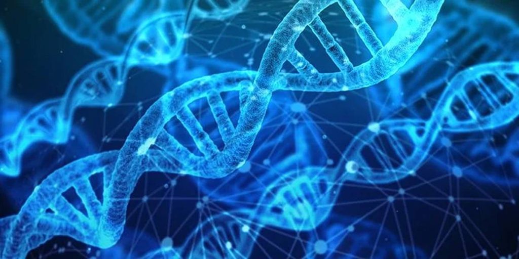 Sperm DNA Fragmentation: The Far East Meets West Approach to Attention