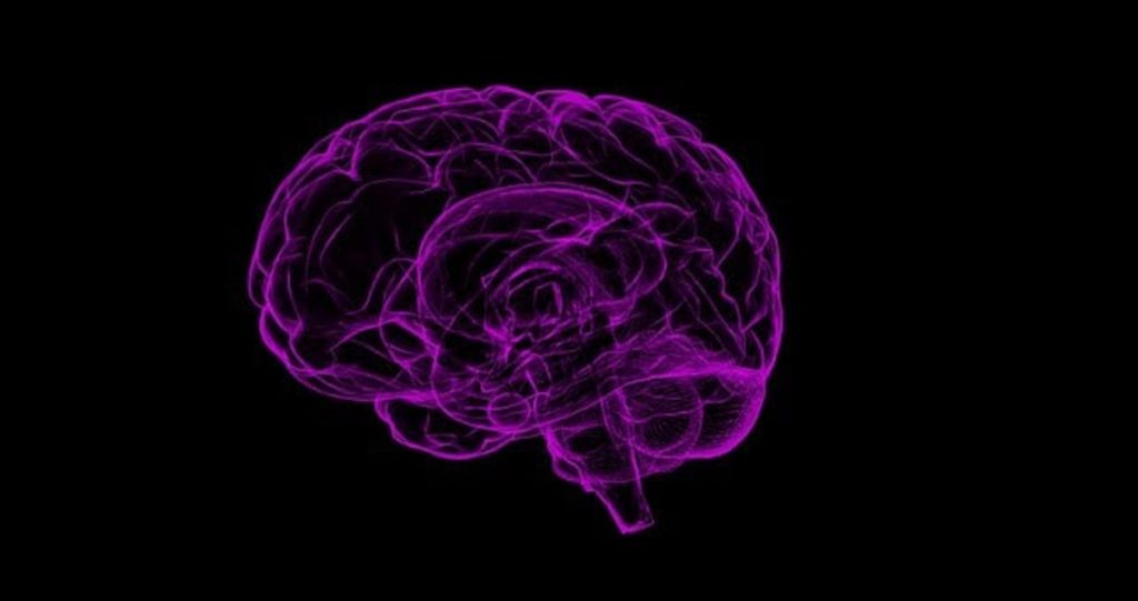 Precisely what is Nootropics?