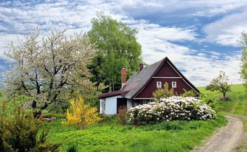 Lowe’s Lawn and Garden Deals