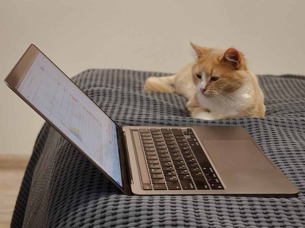 MSI Laptops – Lightweight and Affordable