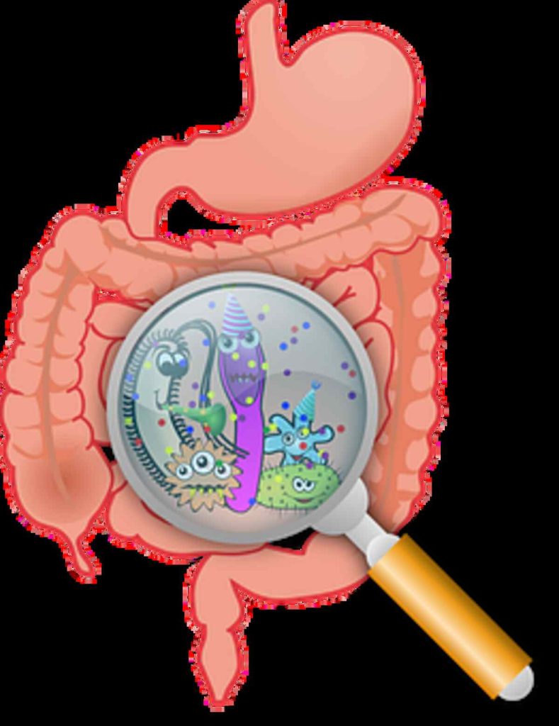 Best Gastroenterologists in Jodhpur