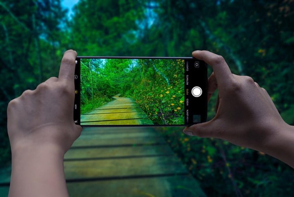 Trail Cameras – Are They Useful?