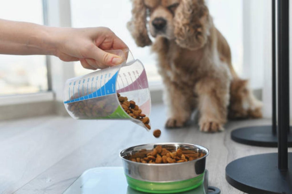 Go Solutions Dog Food Review Go Solutions Dog Food Review