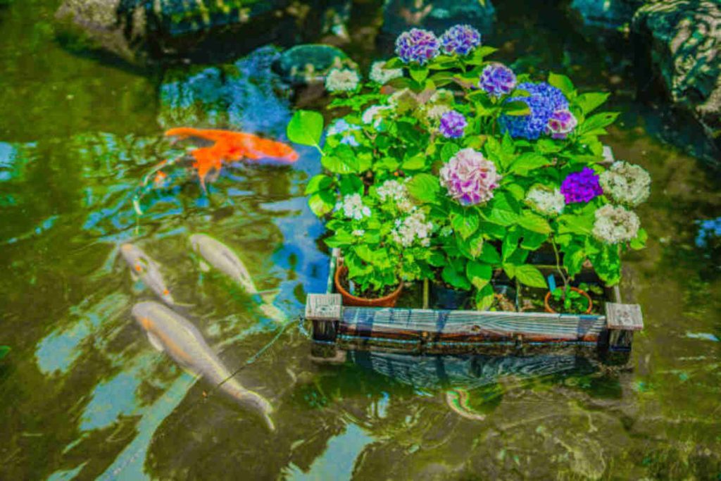 Raised Garden Pond Ideas