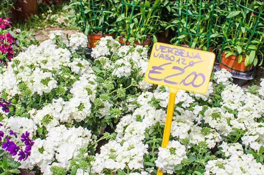 Personalized Garden Signs