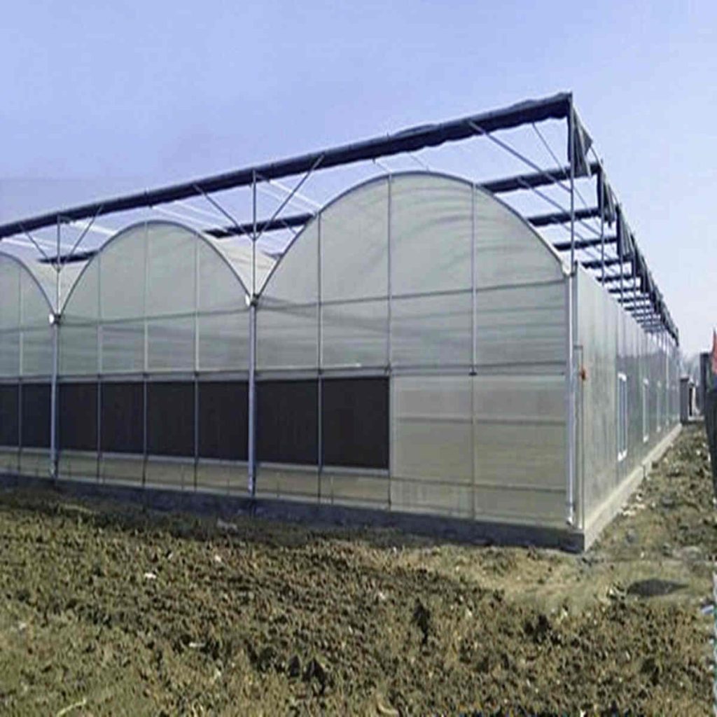 Greenhouse Doors