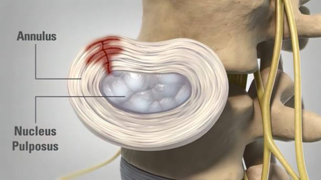 What is Follicular Study?