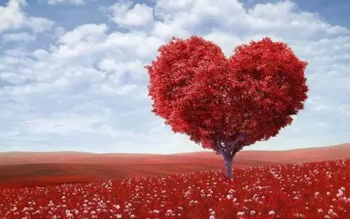 The best psychology tips for love to make your life happier