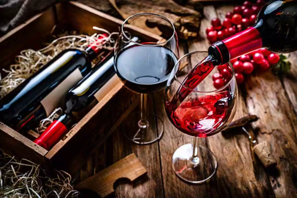 All about Wine: Investing in a Pleasure-Seeking Adventure