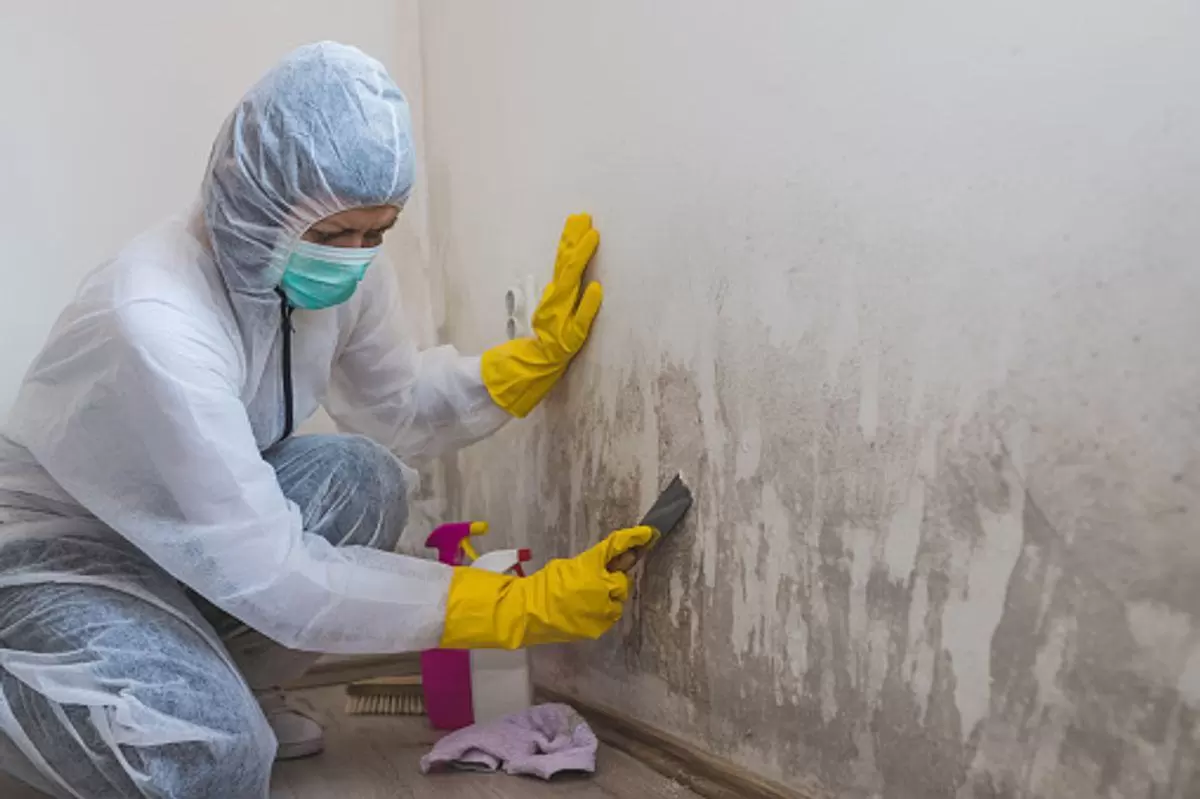 Water damage and Mold Cleaning Suggestions