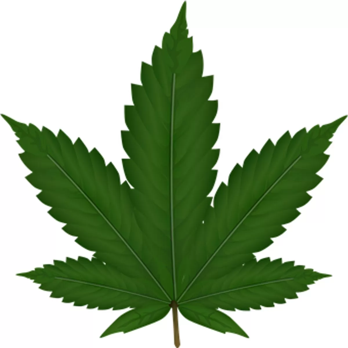 Have you been Curious About The Hoopla Concerning HEMP CBD?