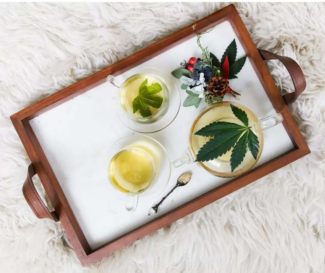 CBD Flower vs Oil: Which Is Better?