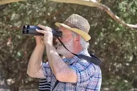 What Are the Best Activities for Senior Citizens?