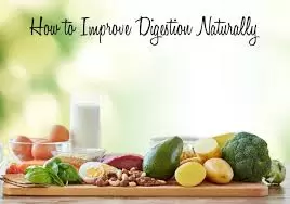 How to Improve Your Digestive Health