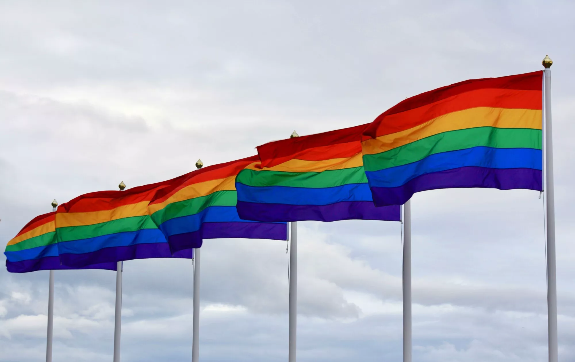 A Quick Guide to the Many Different Pride Flags