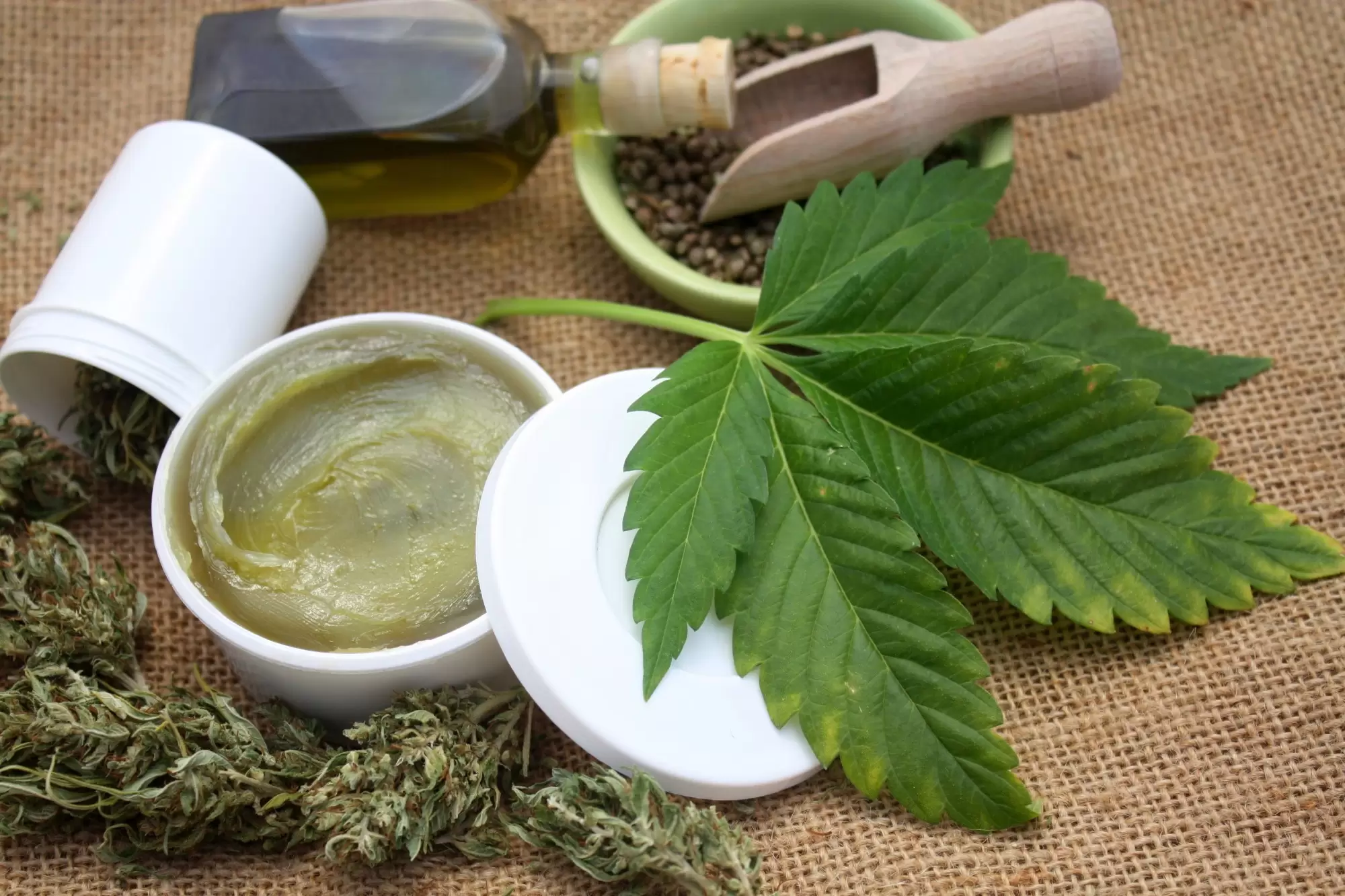 What Are the Different Types of Cannabis Strains That Are Grown Today?