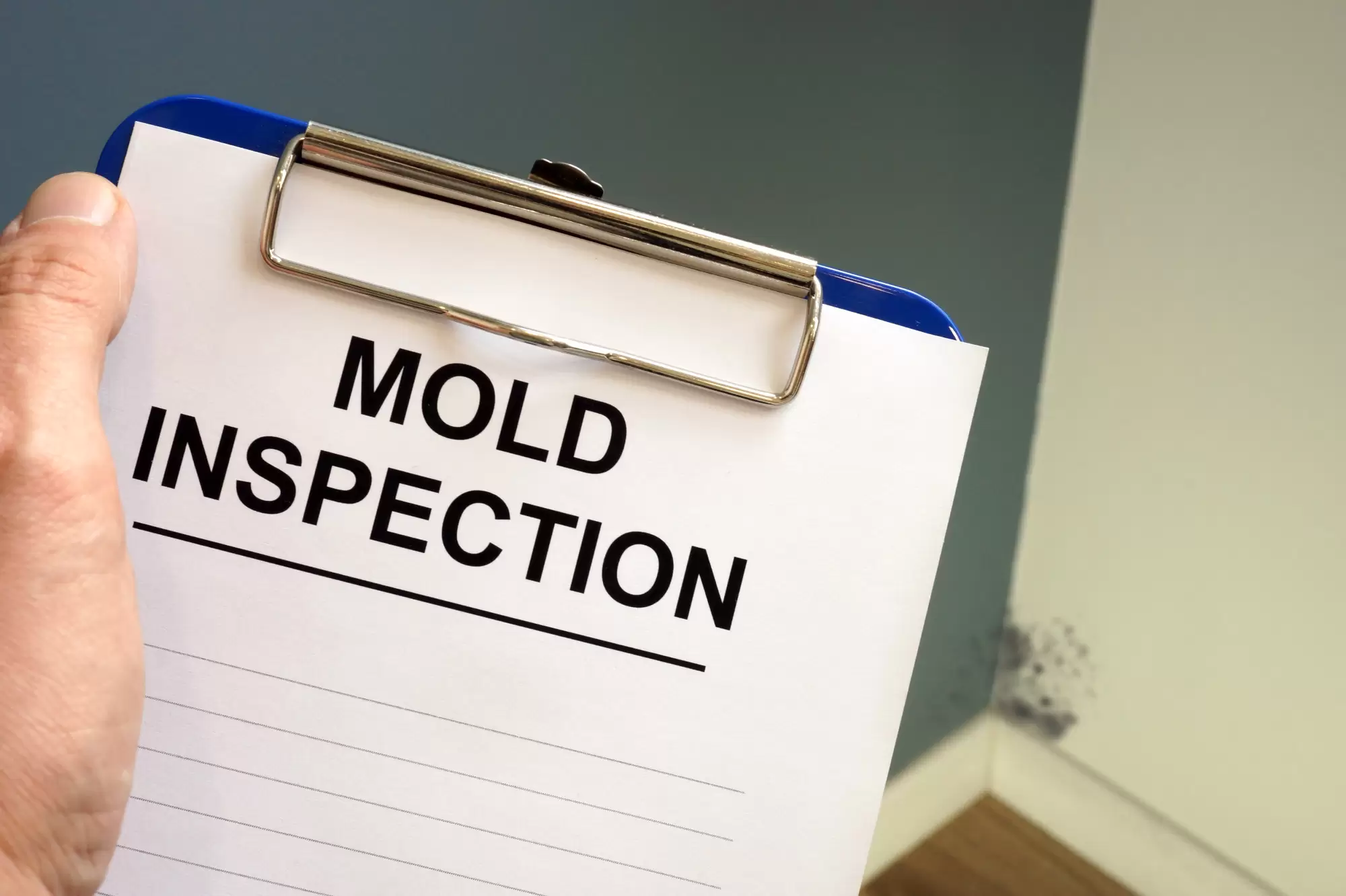Contractor Training: Here’s How to Become a Mold Expert