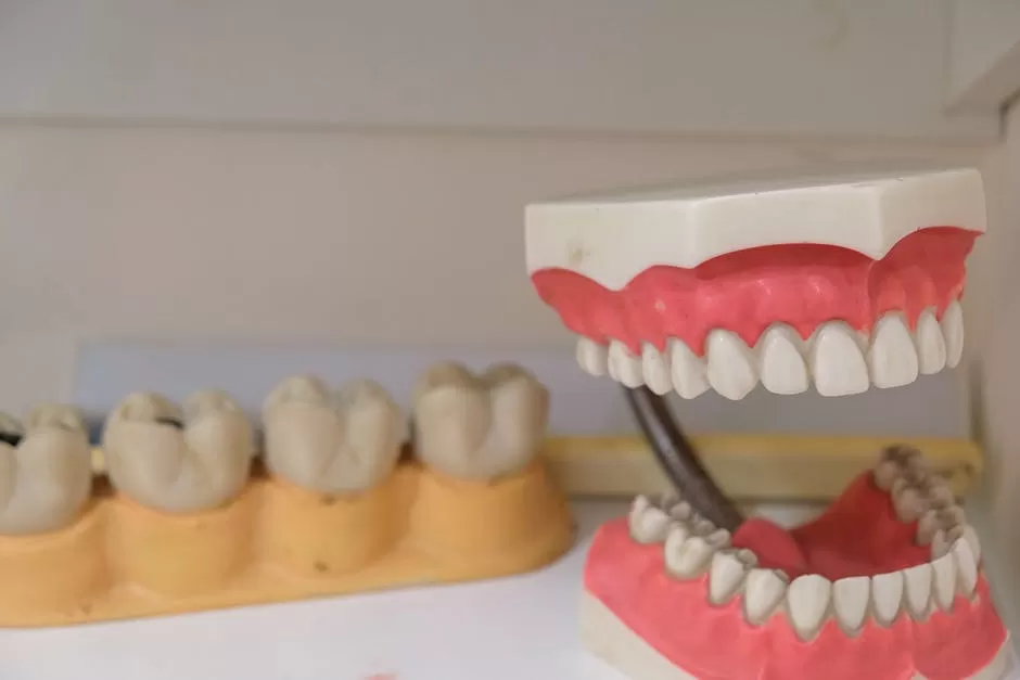 What Is the Difference Between Full and Partial Dentures?