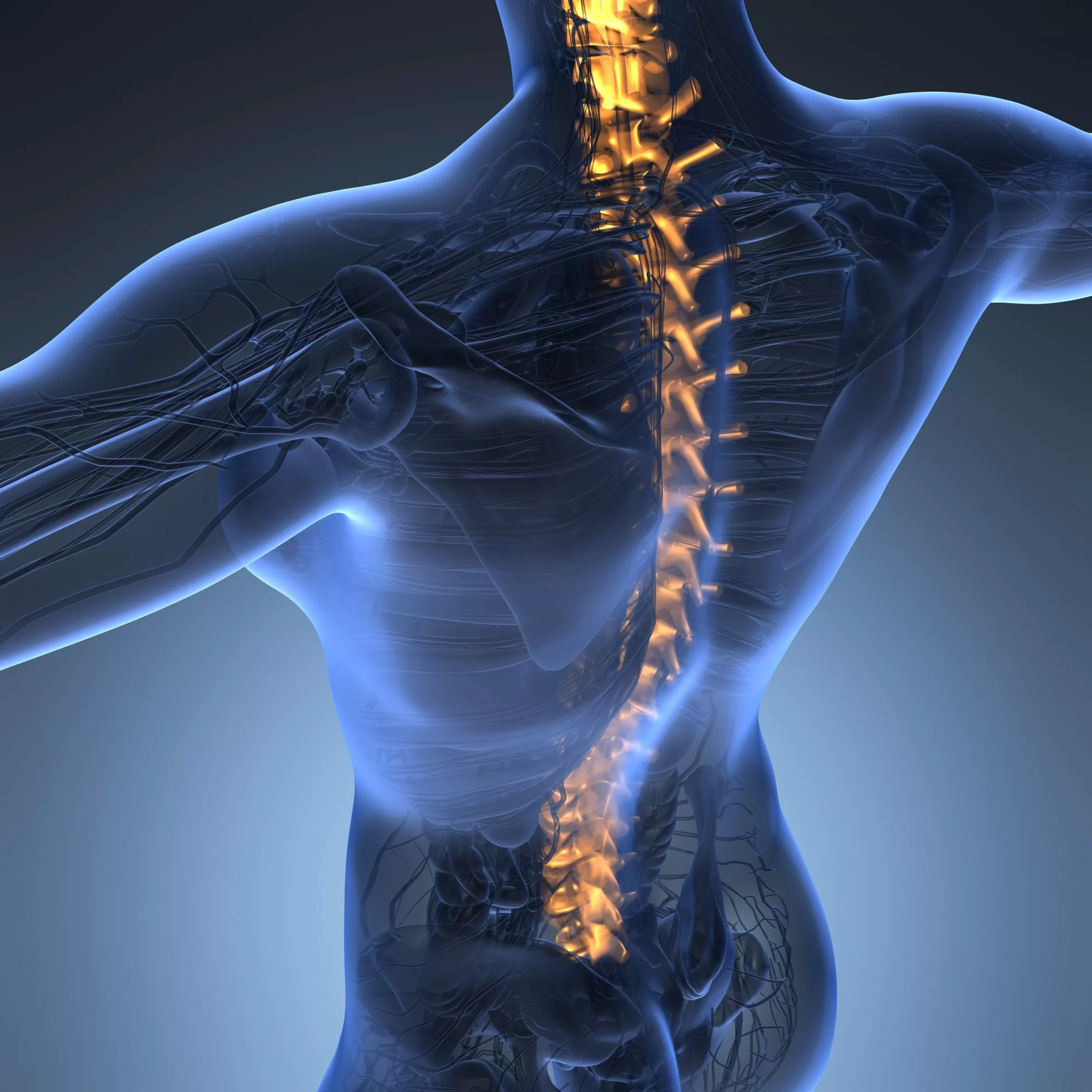 The Different Types of Spinal Cord Injuries That Can Occur Today