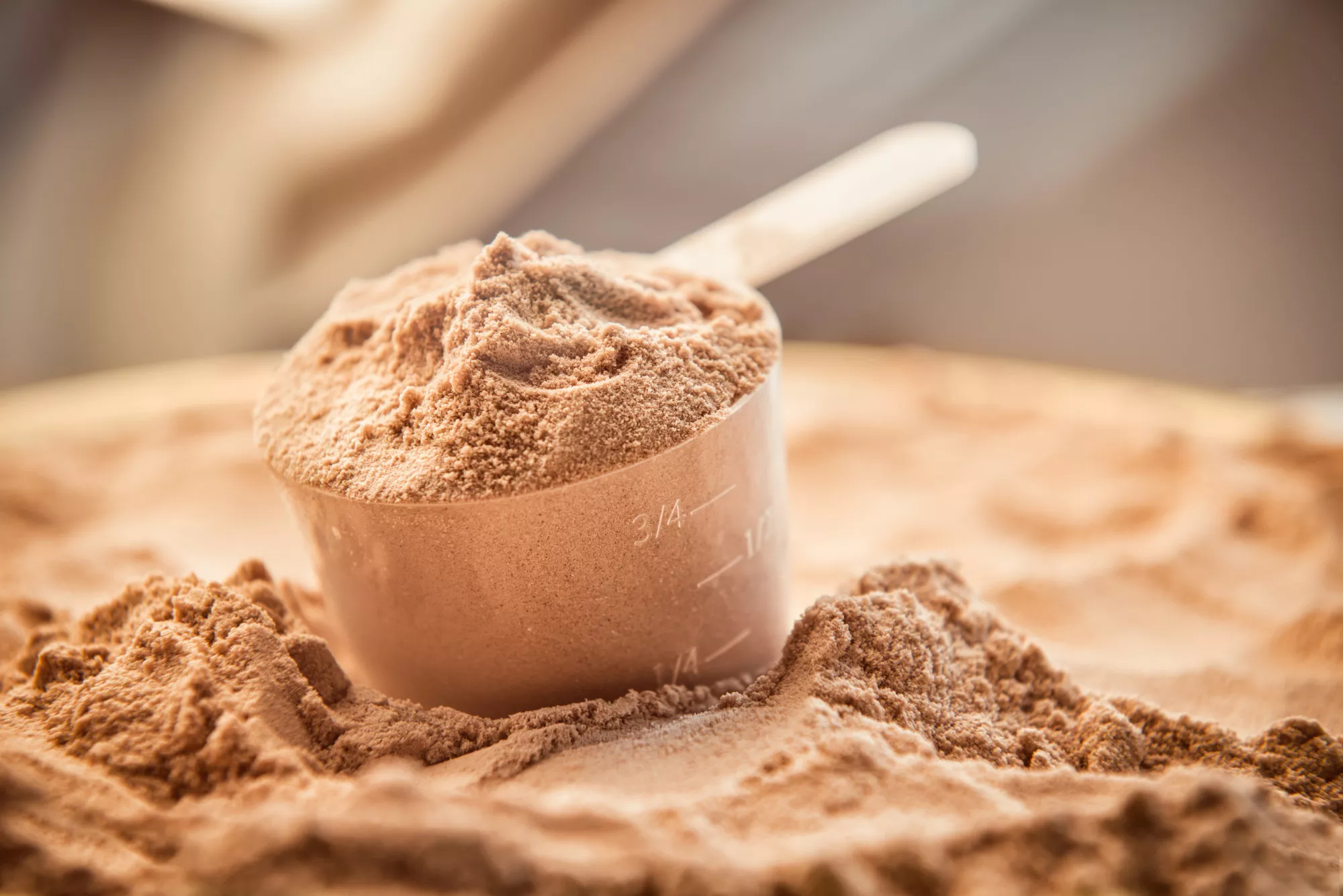 Plant Based Protein Powder vs. Whey: Which Is Better?