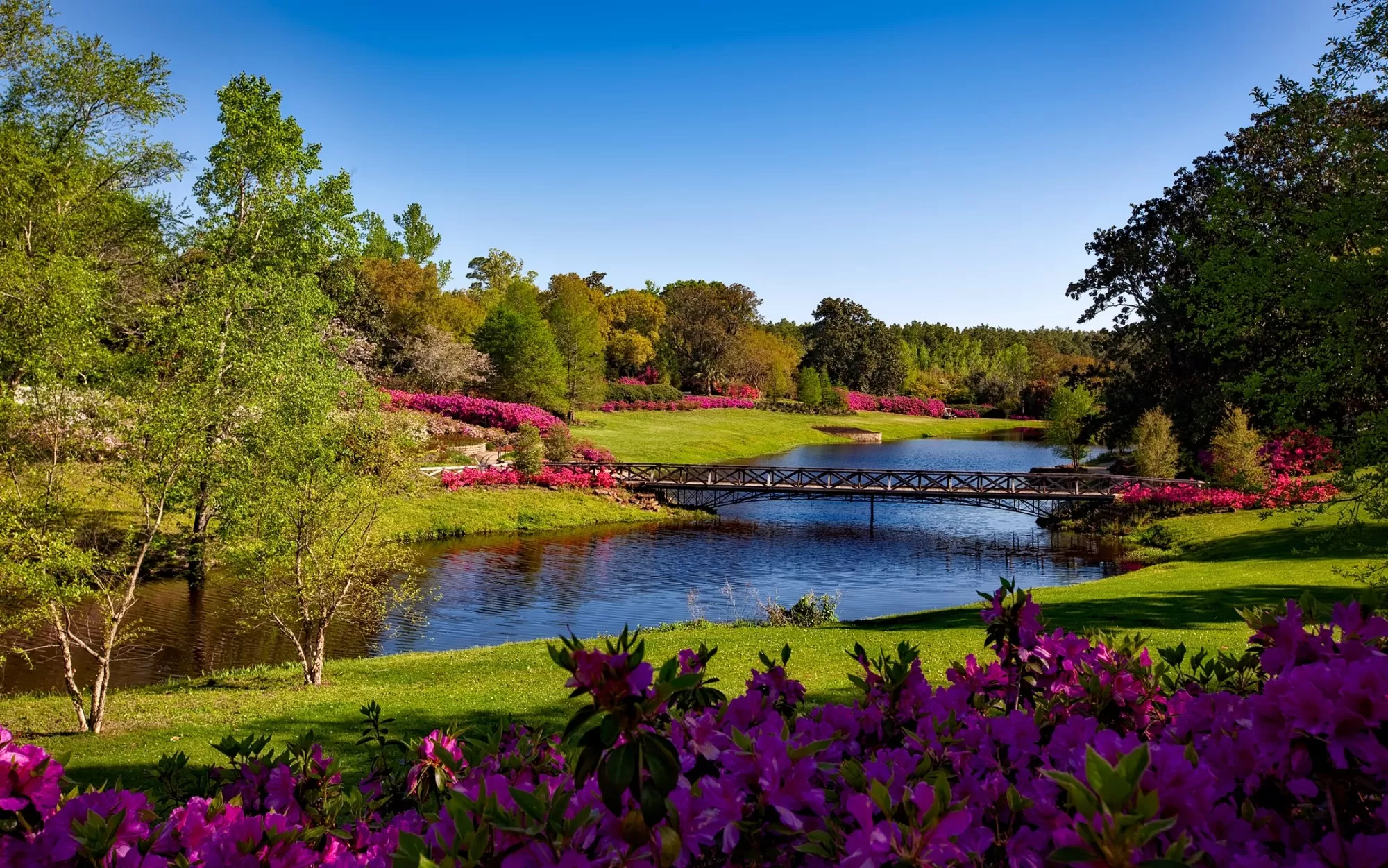 Where Are the Best Places to Live In Alabama?