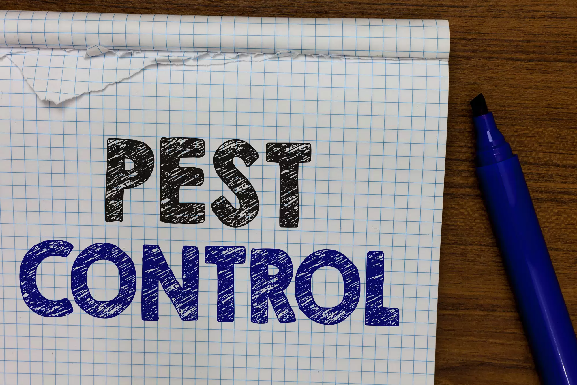 How Do I Choose the Best Pest Control Company in My Local Area?