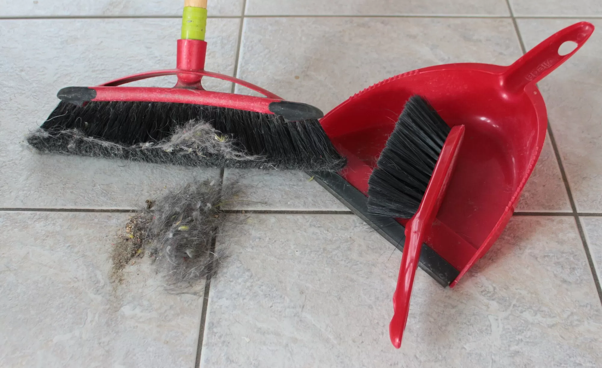What Are Dust Mites? The Dangers of Dust