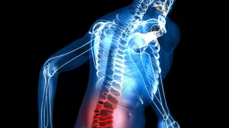 What Do Chiropractors Treat?