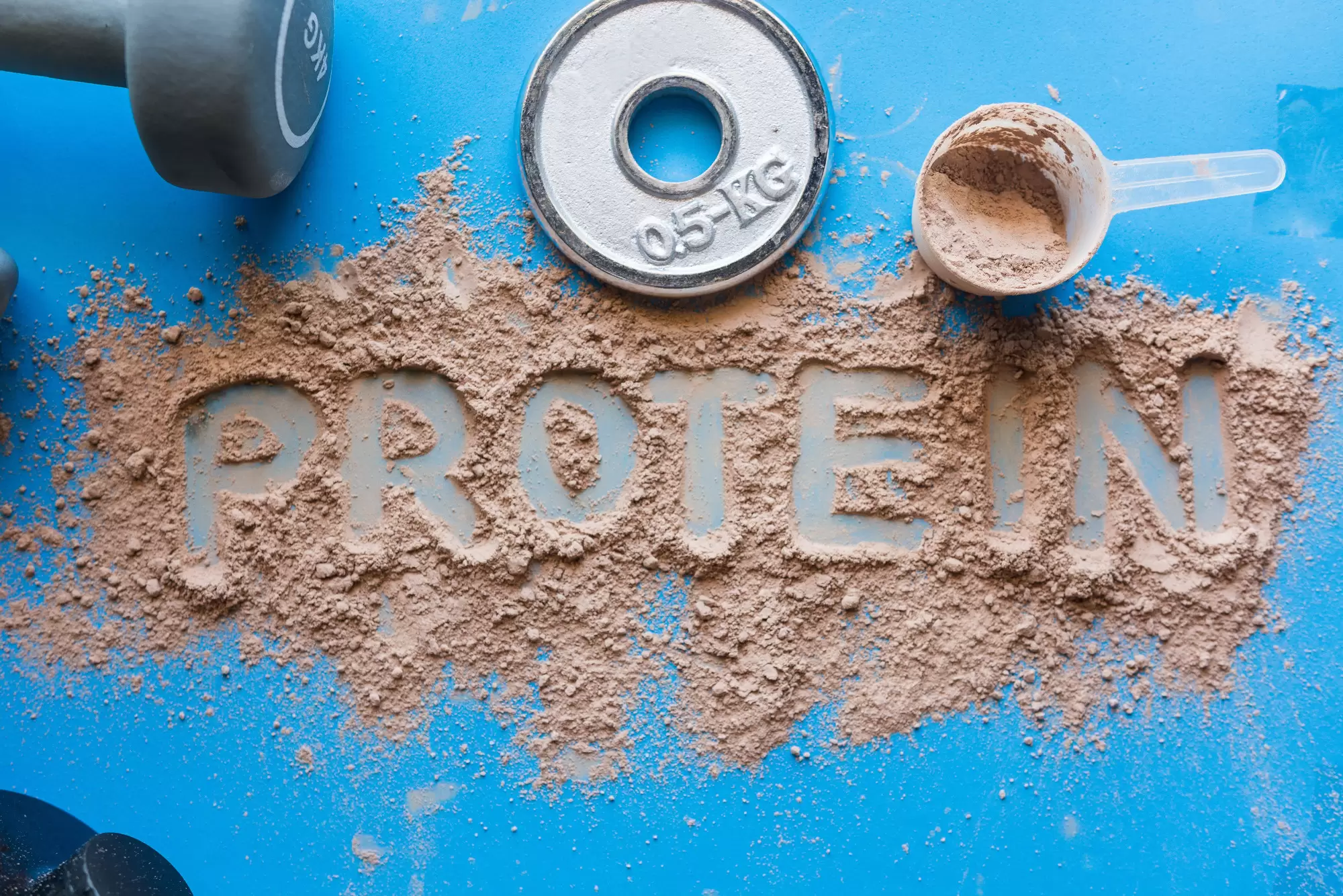 4 Benefits of Adding Organic Plant Protein to Your Diet