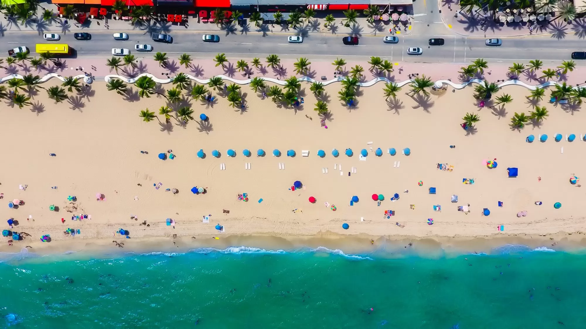 6 Fun Things to Do in Clearwater, Florida