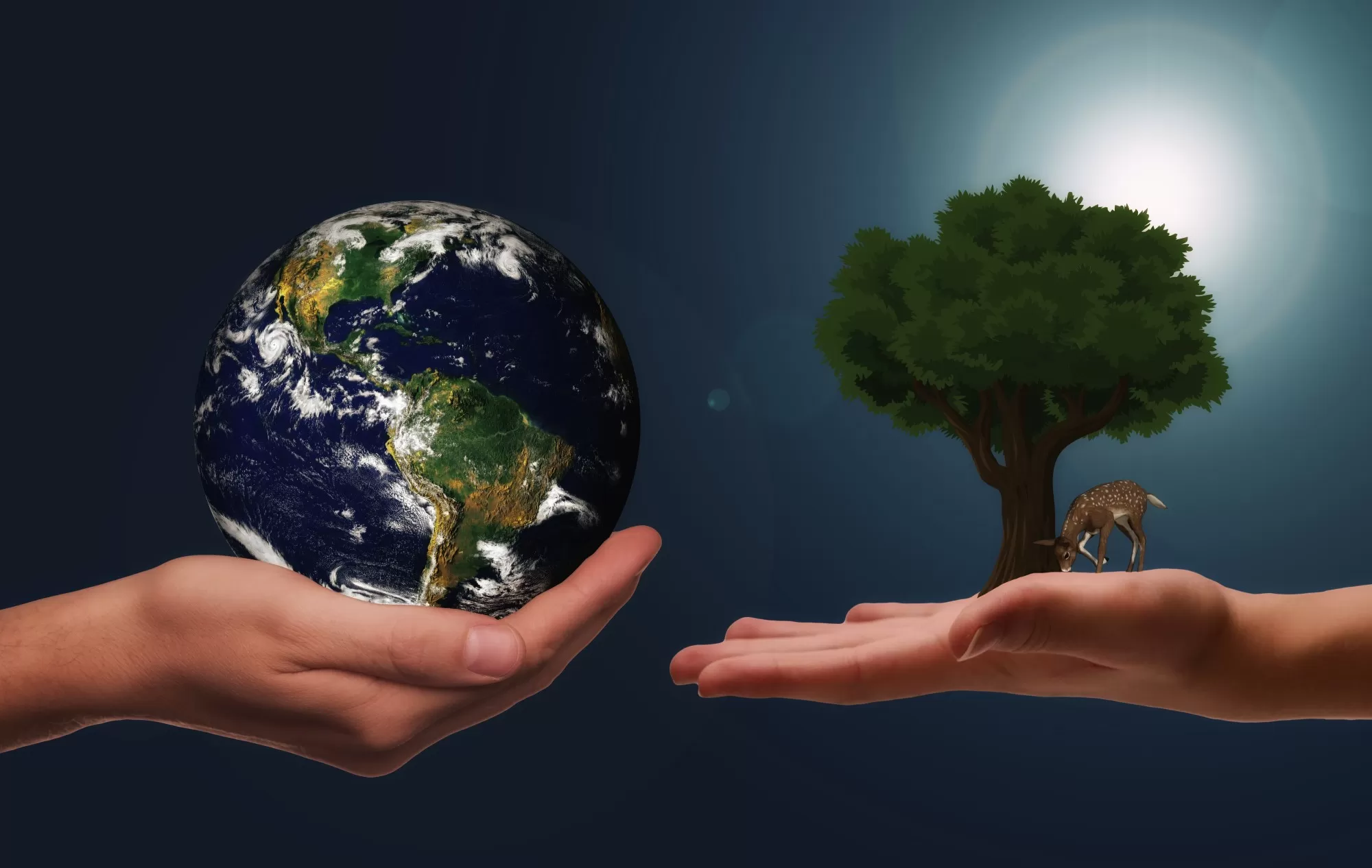 The Health Benefits of Sustainable Living